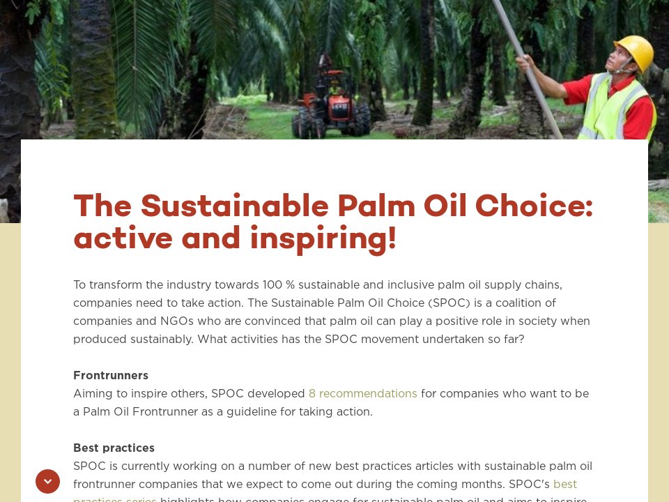 The Sustainable Palm Oil Choice - EPOA Newsletter August 2021